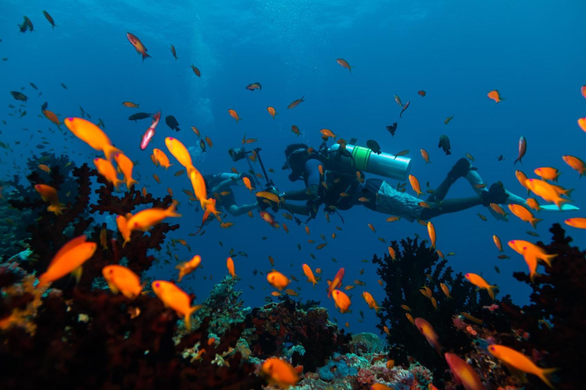 And - Maldives 5* Kuredhivaru
